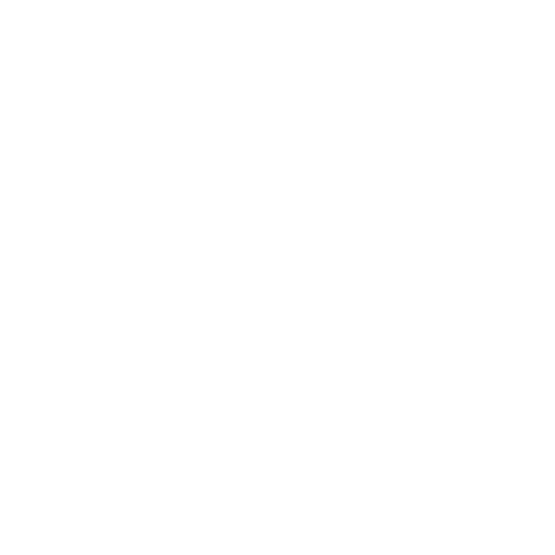 Schulthess Maschinen AG