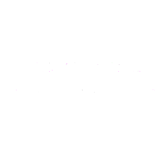 Schweizerische Parlamentsdienste
